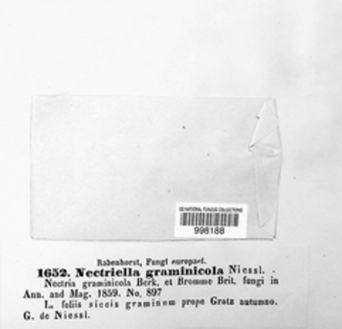 Hydropisphaera arenula image